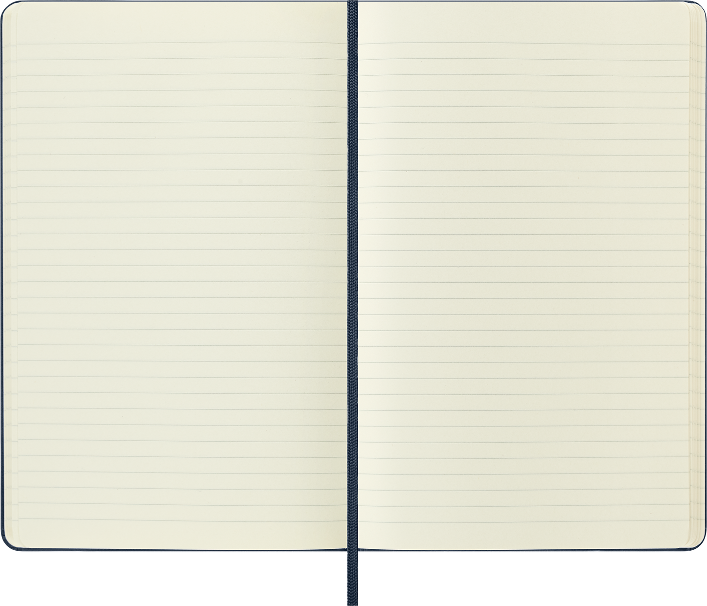 Moleskine Notebook Large Ruled Hard Cover