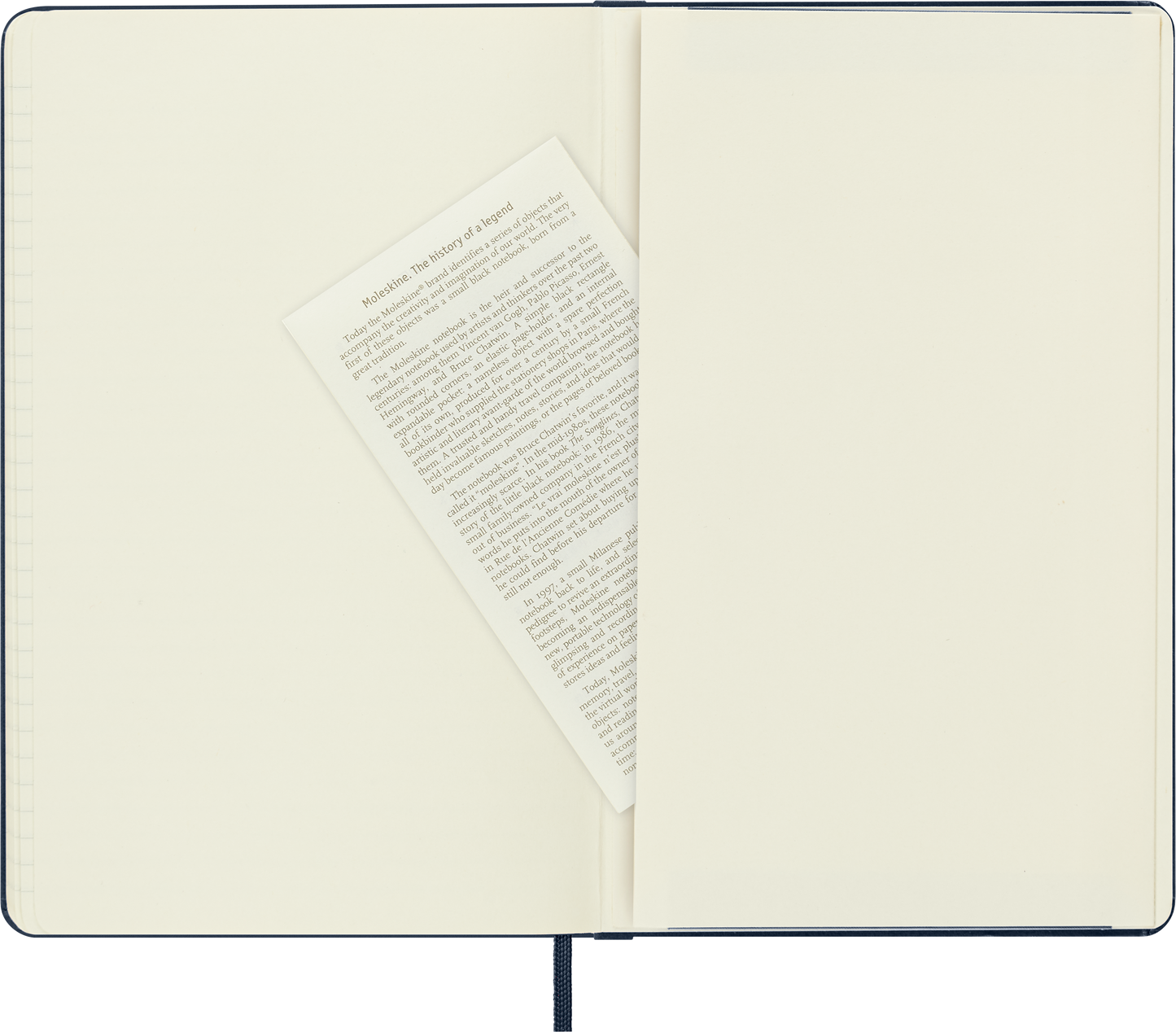 Moleskine Notebook Large Ruled Hard Cover