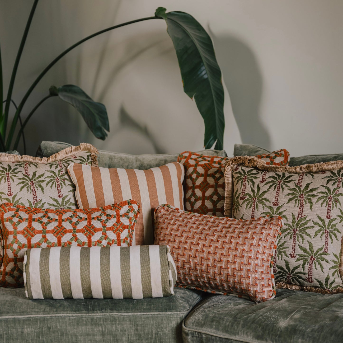 Bolster Jackie Olive & Ecru