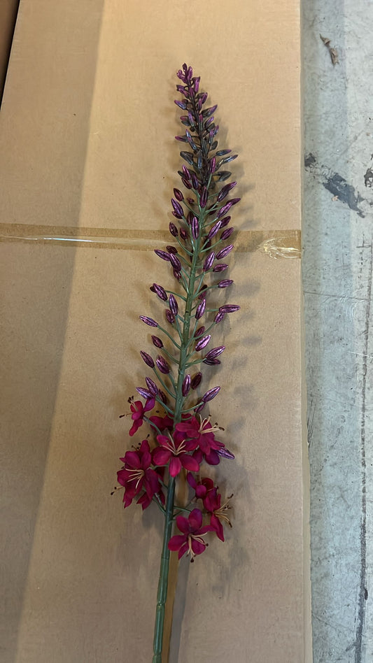 Flower Eremurus spray burgundy